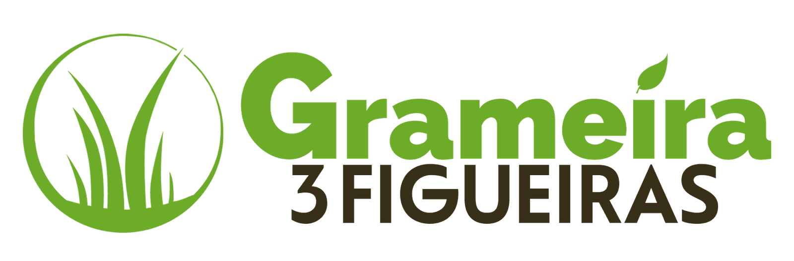GRAMEIRA 3 FIGUEIRAS - Grameira em Londrina-Pr grama essmeralda de alta qualidade