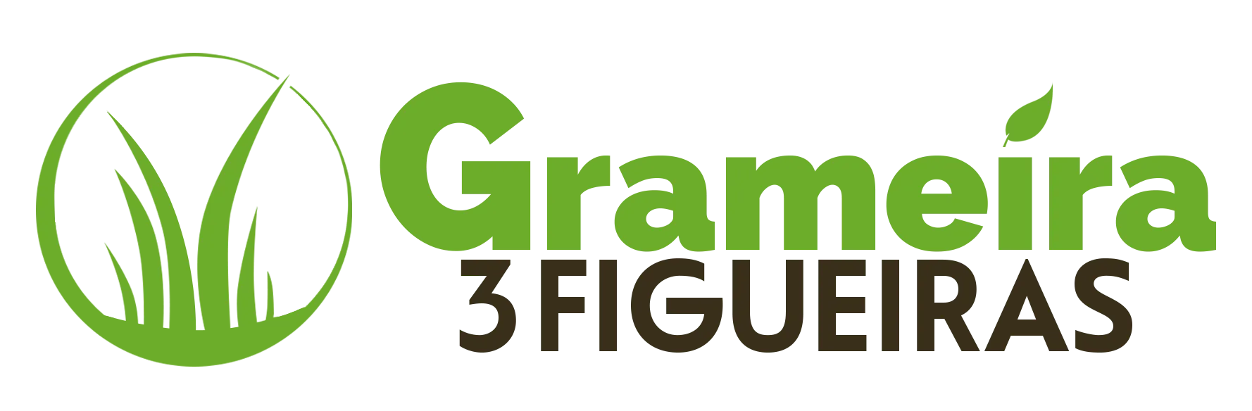 GRAMEIRA 3 FIGUEIRAS - Grameira em Londrina-Pr grama essmeralda de alta qualidade